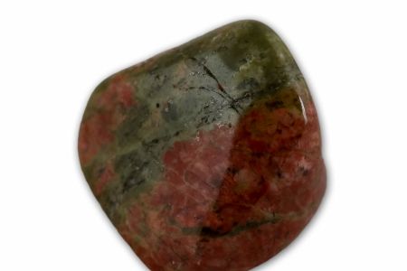 Bild eines Drachenblutjaspis